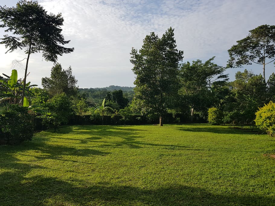 Side Garden