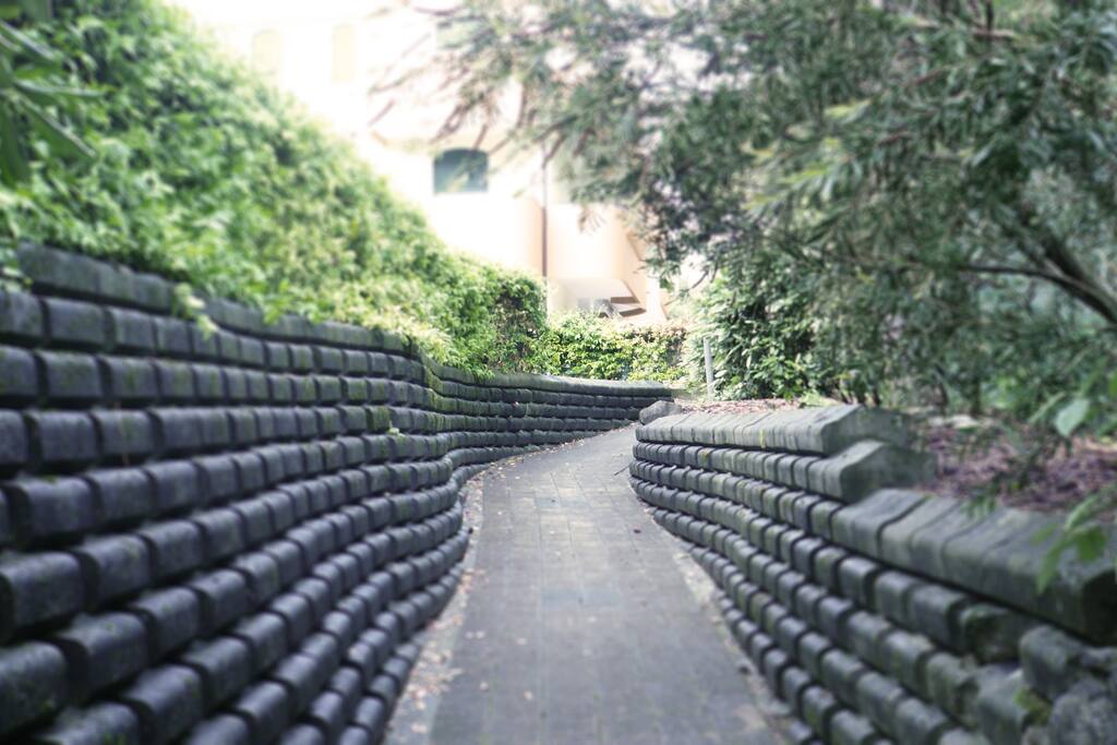 Vialetto di ingresso