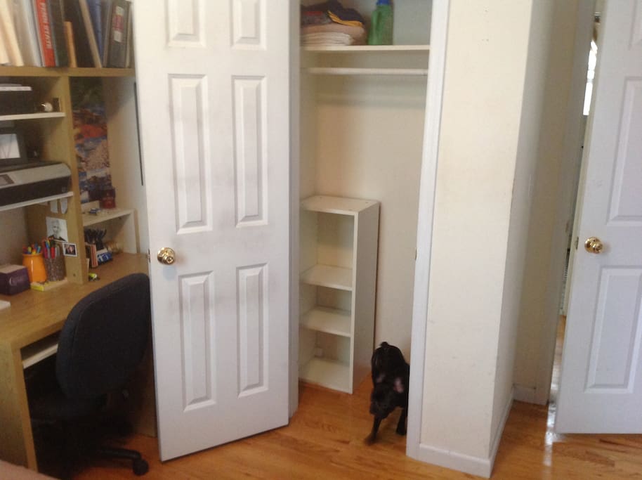 Bedroom view 3 (dog in photo)