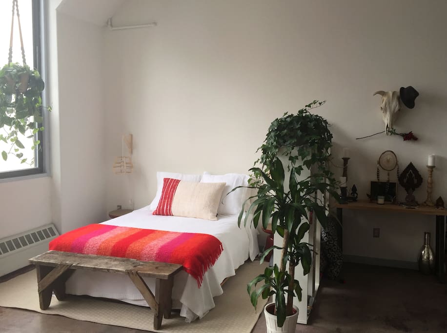 Sleep in a comfortable queen bed surrounded by hanging plants.