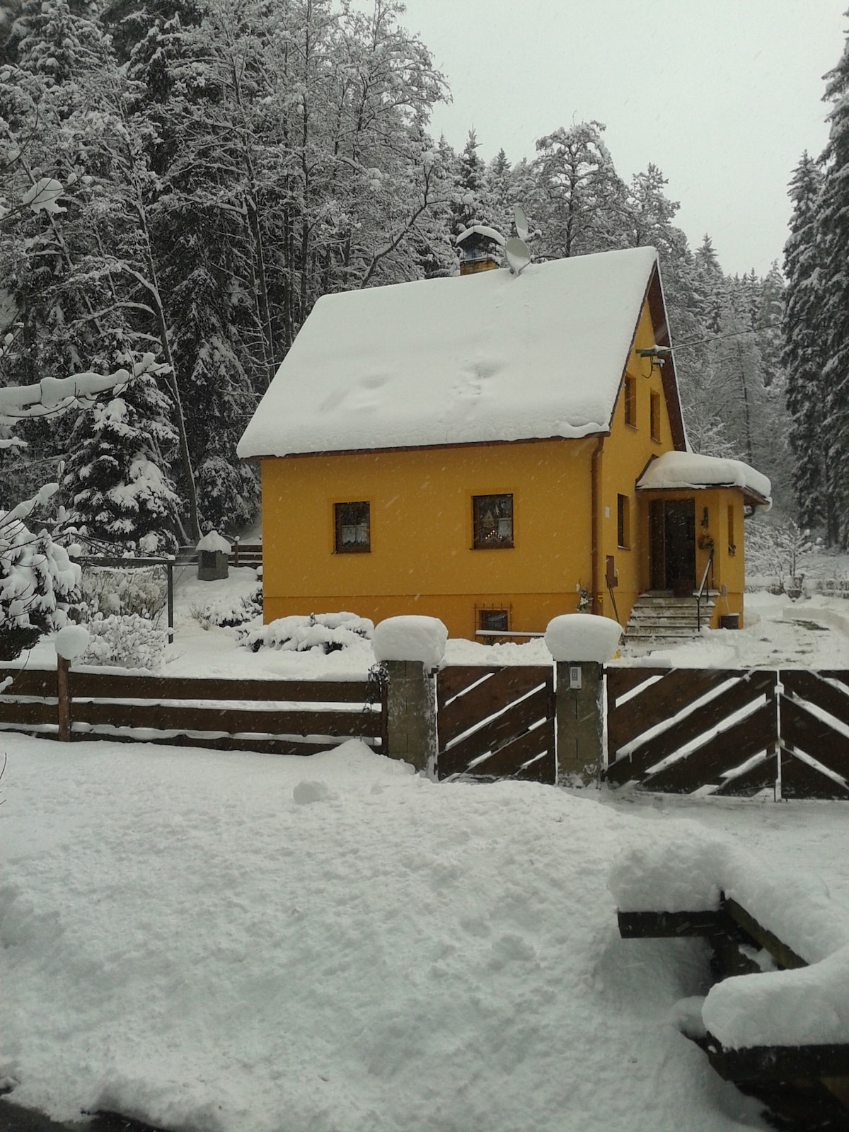 A charming yellow house is surrounded by a serene winter landscape, with a fresh layer of snow covering the roof and ground. Snow-covered trees provide a tranquil backdrop, while a wooden fence and pathway lead to the entrance, inviting guests to explore the peaceful setting.