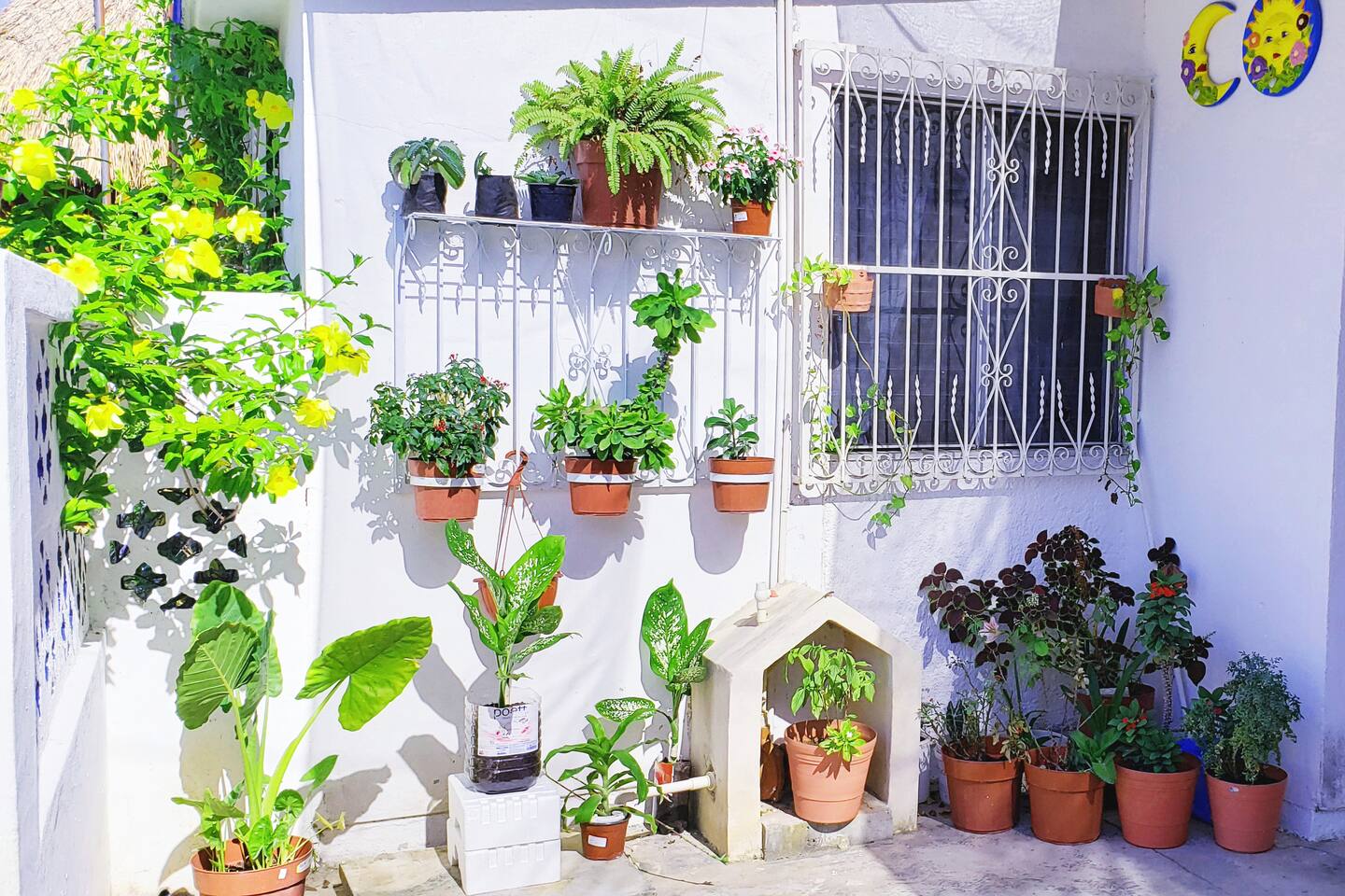 La Casa De Las Flores