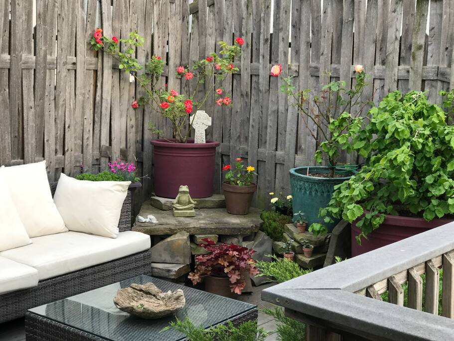 Private Roofgarden with a view