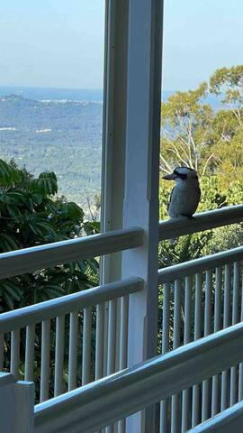 Historic Queenslander with views to the ocean gallery image 5