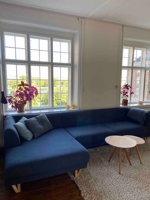 Successful Airbnb property: Spaciuos 148 m2 apartment with beautiful lake view in Østerbro