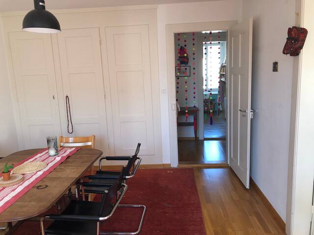 very centric apartement, close to the river