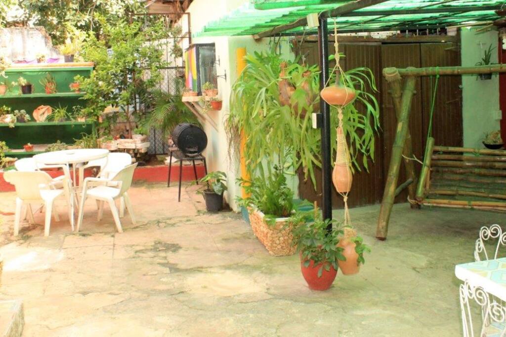 Terrace