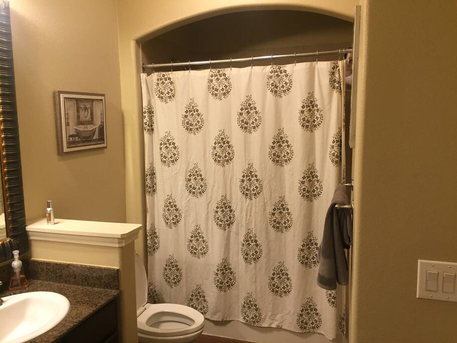 Master Bathroom with bathtub/shower