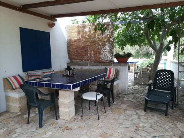 Villette a Marina Serra, tra Ulivi e mare gallery image 5