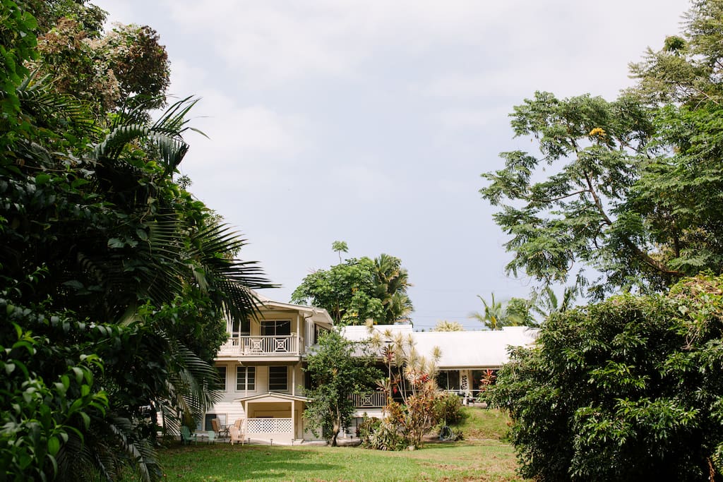Apartments In Hilo Hawaii For Rent Apartments In Hilo Hawaii For Rent