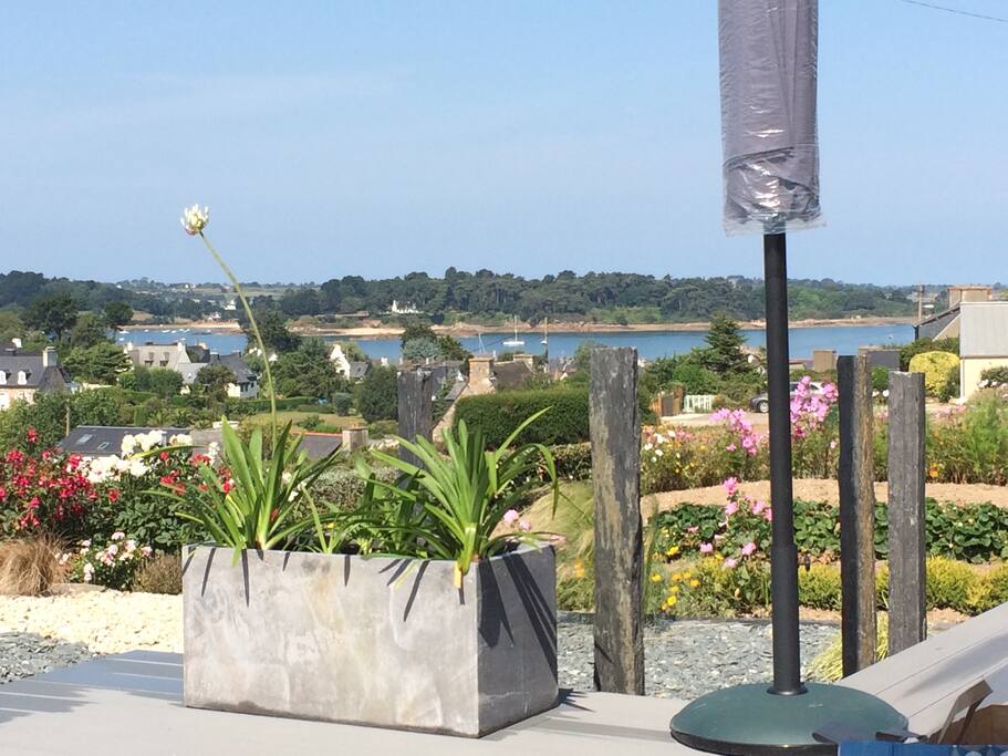 Agapanthe blanche sur la terrasse devant la mer