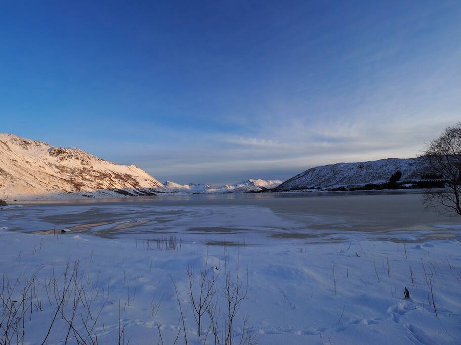 Utsyn mot vannet