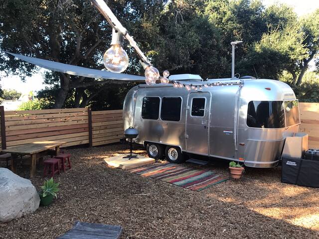 Airstream Dream 'White Sage'