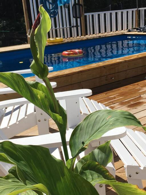 Part of the poolarea