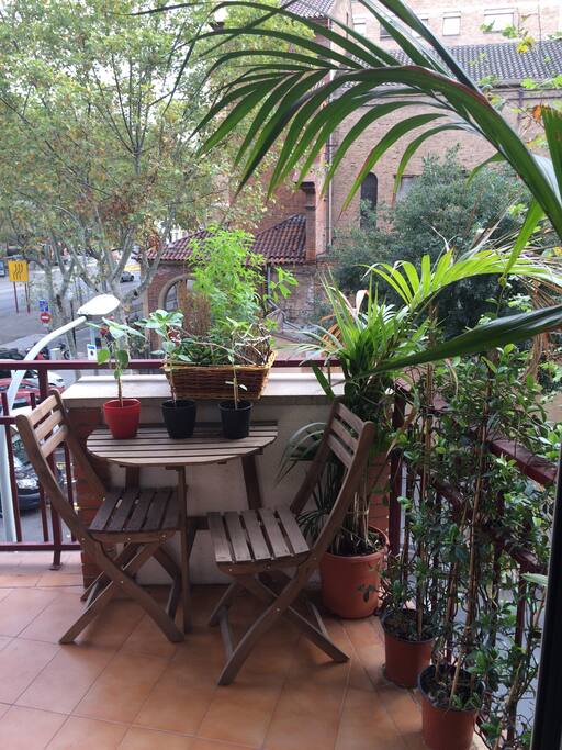 The terrace