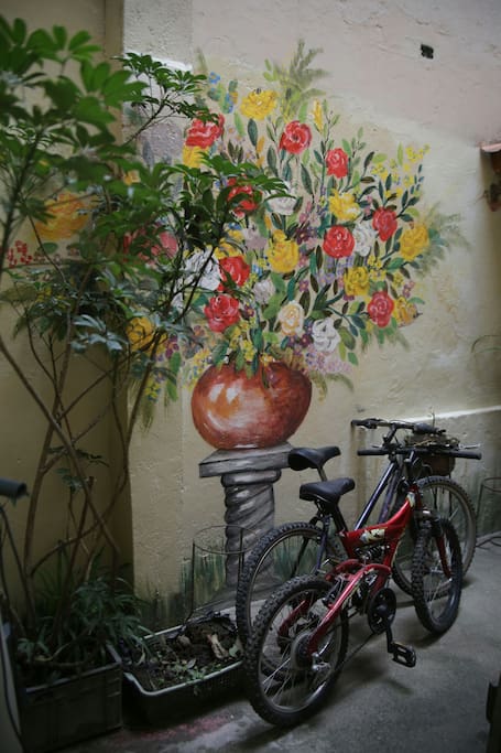 In the mood for a ride in Quito?