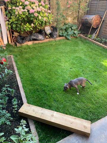 Peckham design home gallery image 4