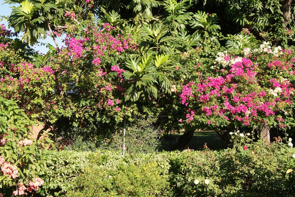 Step into the garden right from your room