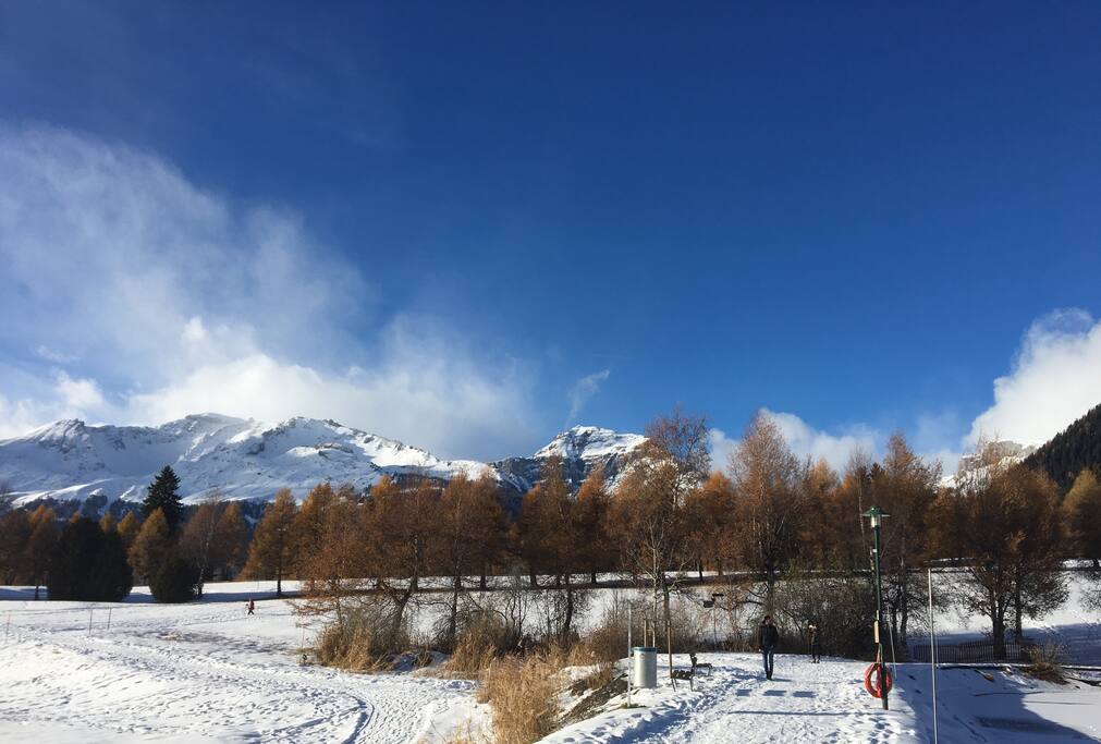 Crossing Country Skiing and walking trails.
