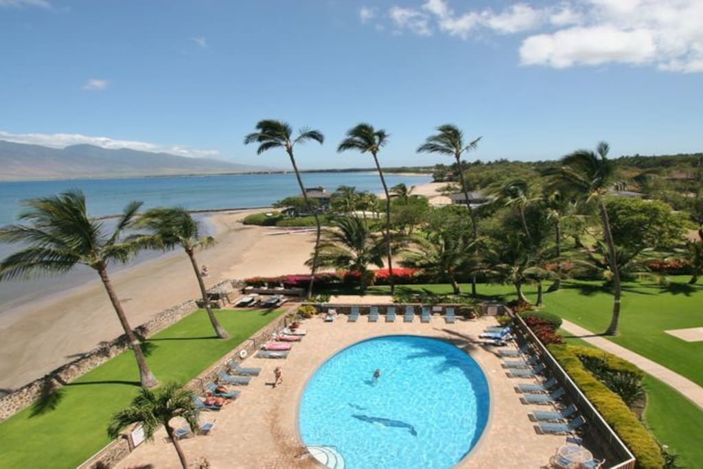 Beautiful Paradise beachfront Maui sunset Home Apartments for Rent in