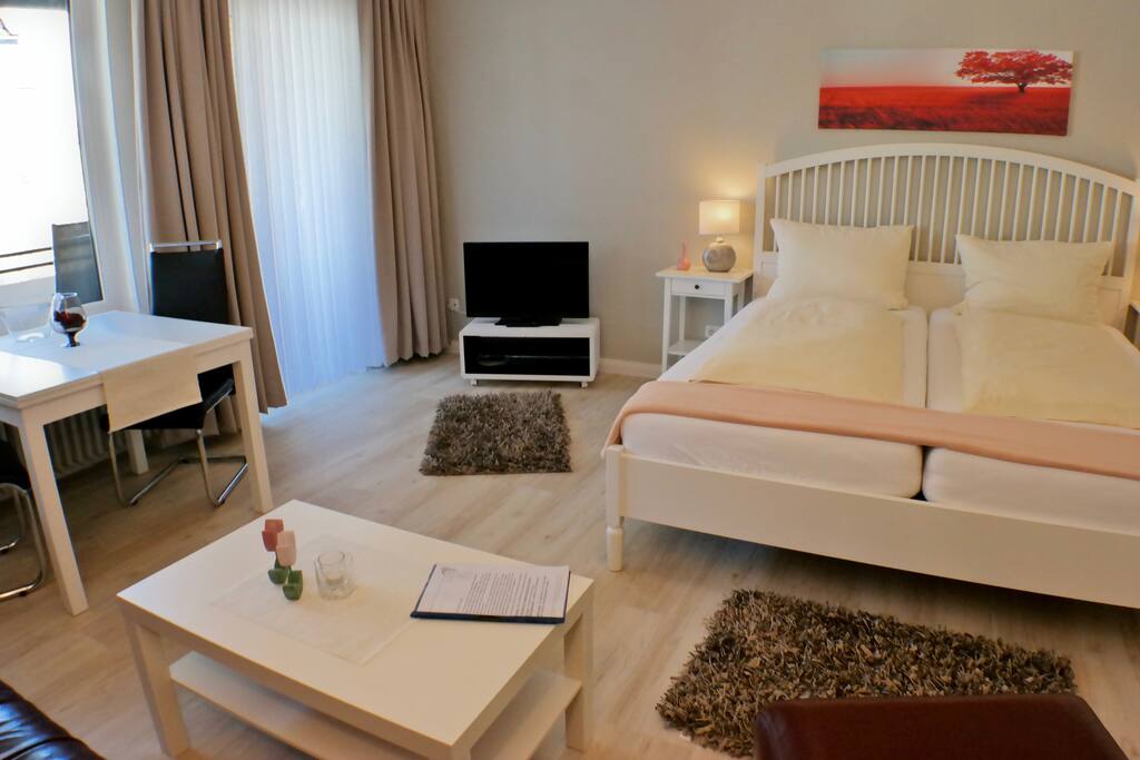1-Zimmer Apartment Wohnraum mit Loggia