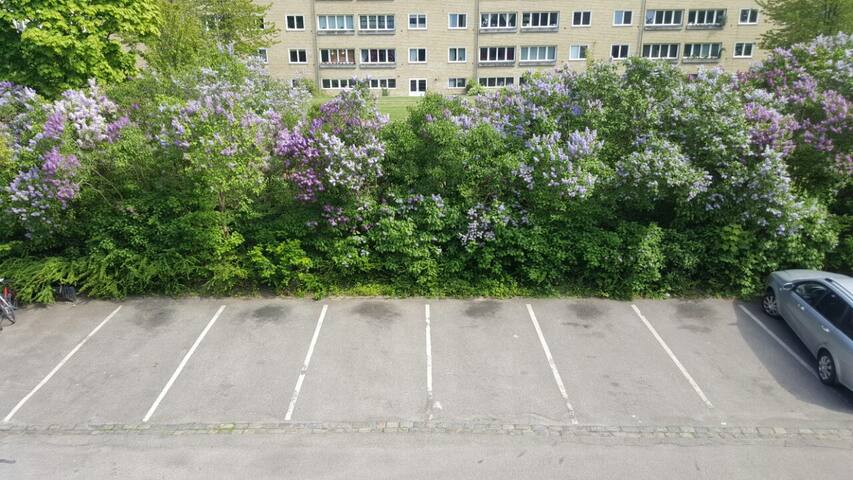 Cozy apartment in copenhagen