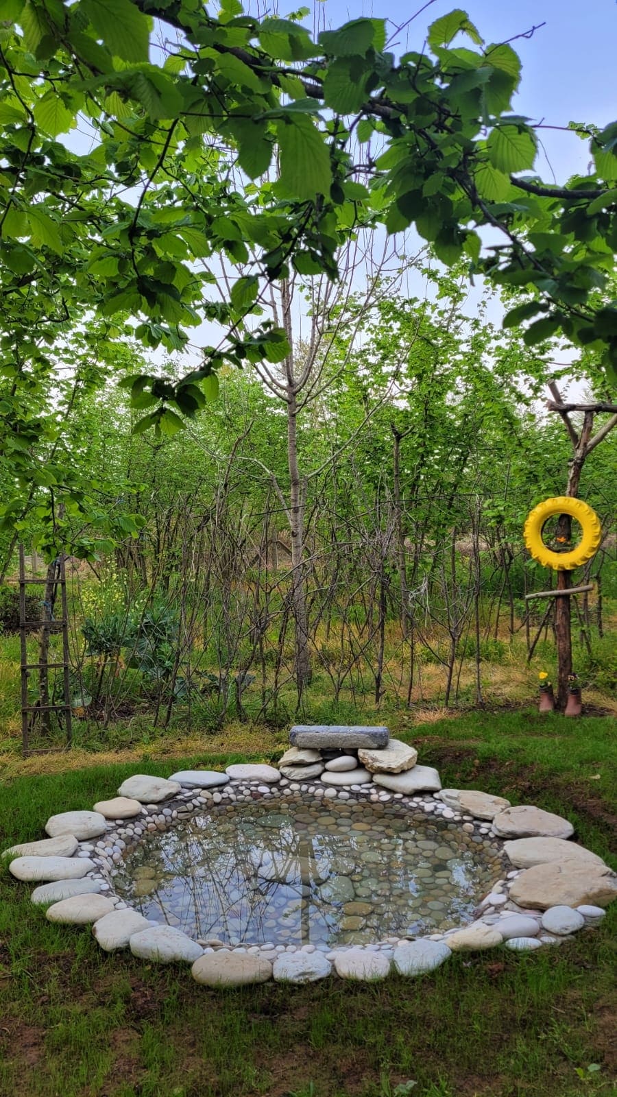 A serene garden area features a small, round pond surrounded by smooth stones, reflecting the greenery overhead. Trees and plants create a natural barrier, enhancing the sense of privacy and connection to nature in this tranquil outdoor setting.