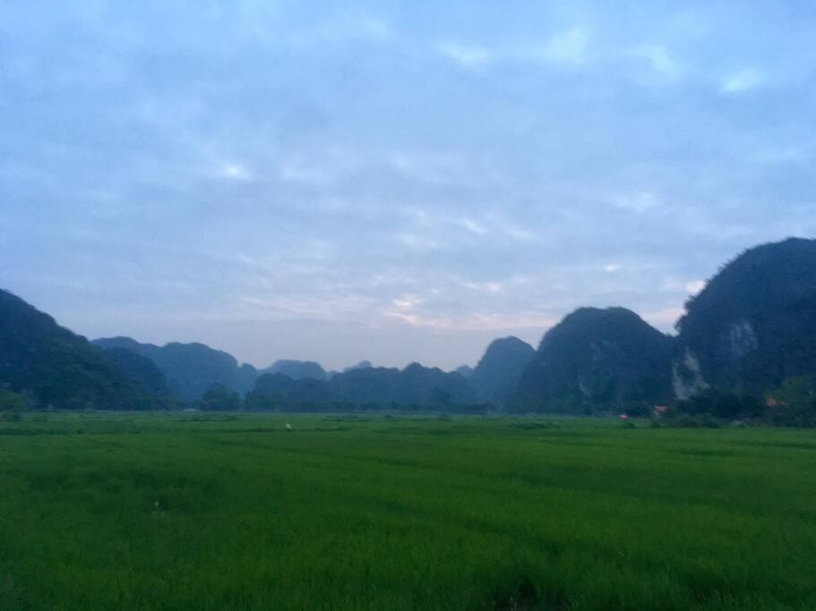 Walk through the rice field to get us