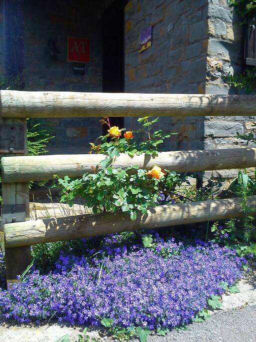 Jardin