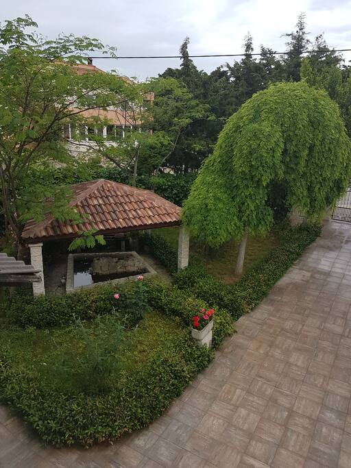 garden