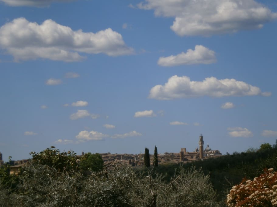 View over Siena