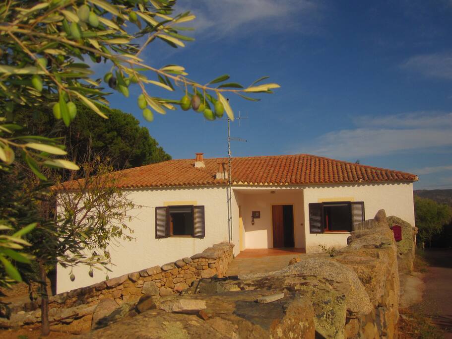 Ingresso