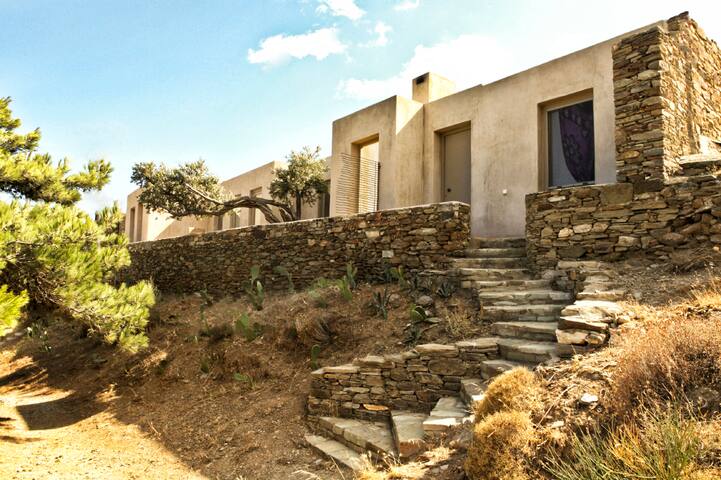 A Beach Paradise House