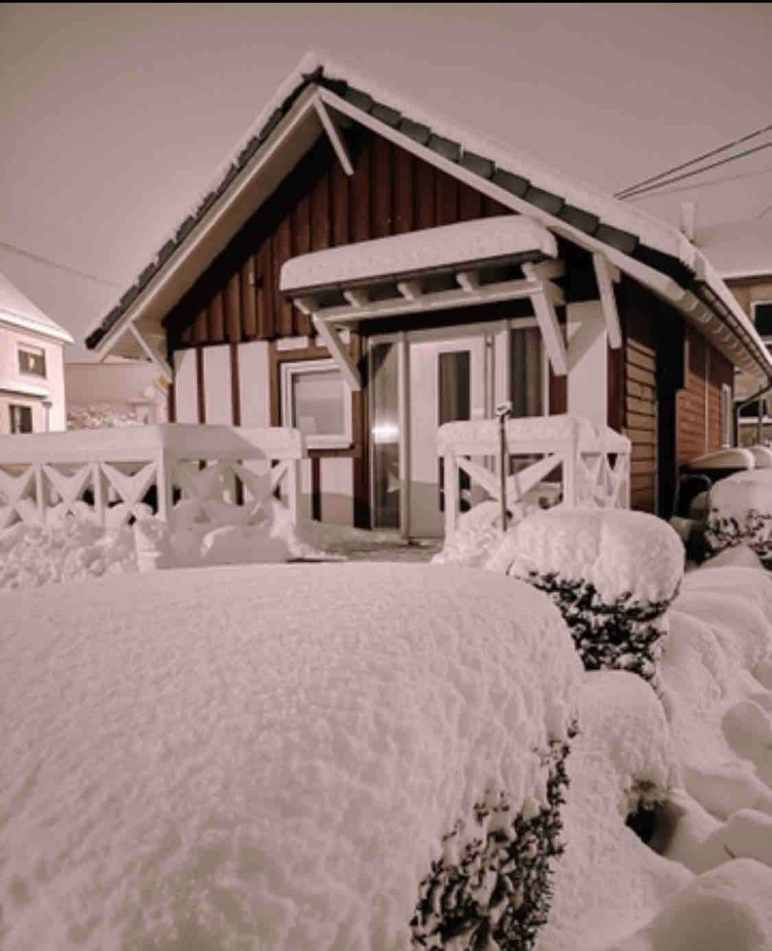 A quaint cabin framed in wood is showcased, surrounded by a blanket of thick snow. Snow-covered bushes and a white railing adorn the entrance, while the sloped roof retains a layer of fresh snow. The peaceful scene conveys a tranquil winter atmosphere.