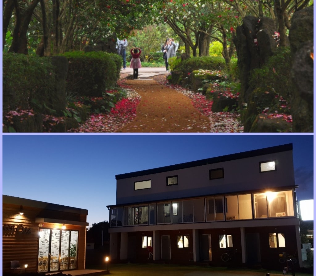 A vibrant pathway is lined with flowering trees, leading through a park-like setting where visitors can be seen walking. The ground is adorned with fallen petals, creating a natural carpet of color. A cozy building stands in the background, illuminated softly by exterior lights.