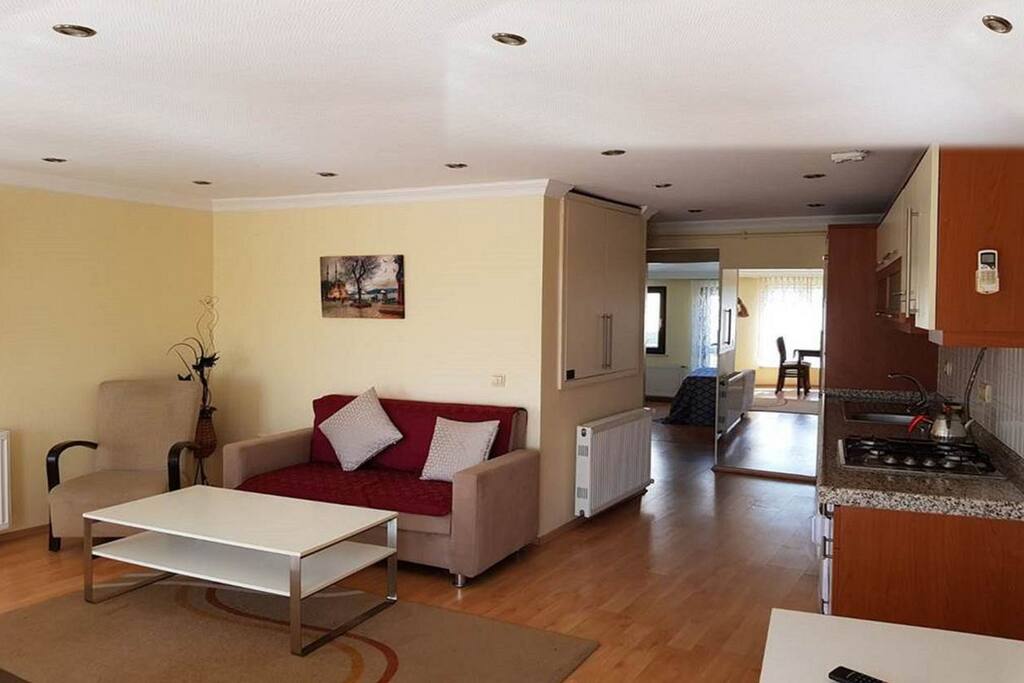 Full comfortable apartment