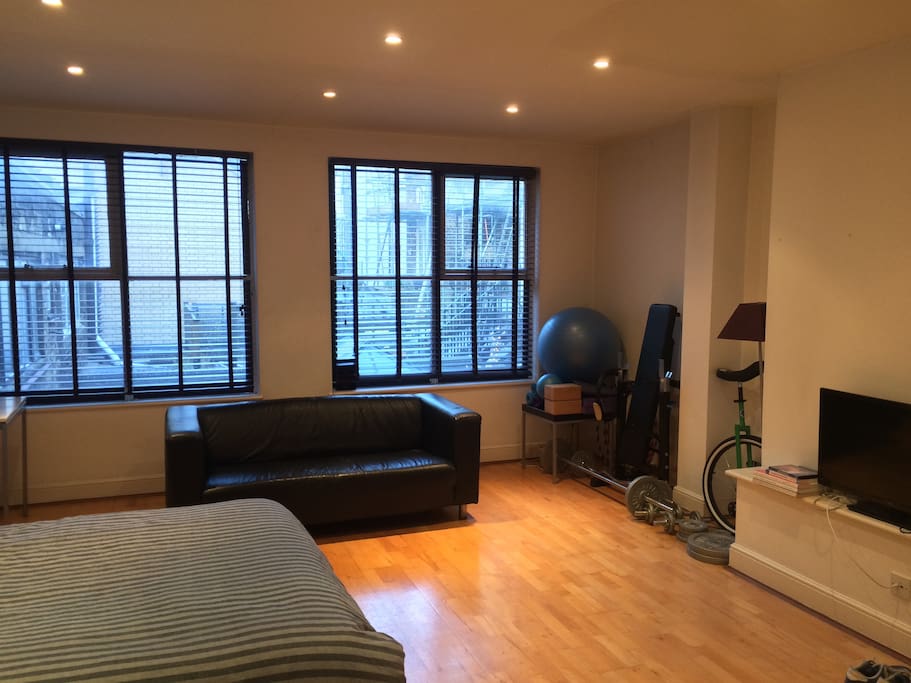 Large living space with bed out