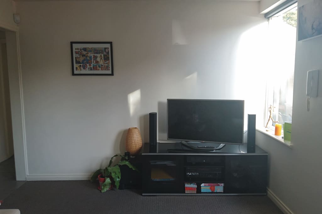 TV and Netflix