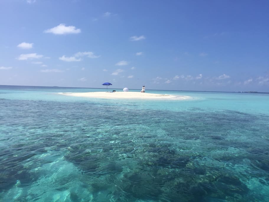 We offer sandbank picnic trips,