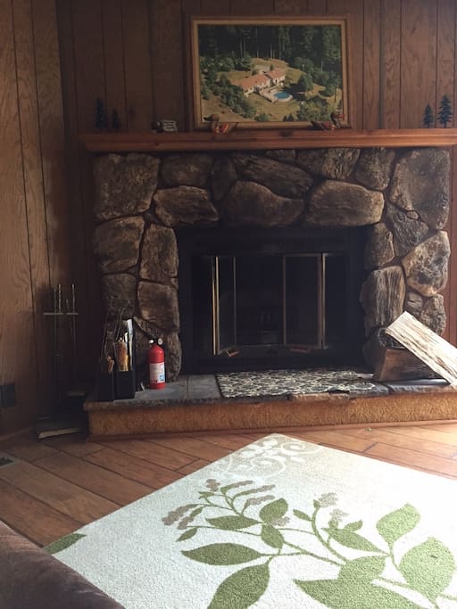 Fireplace in Den