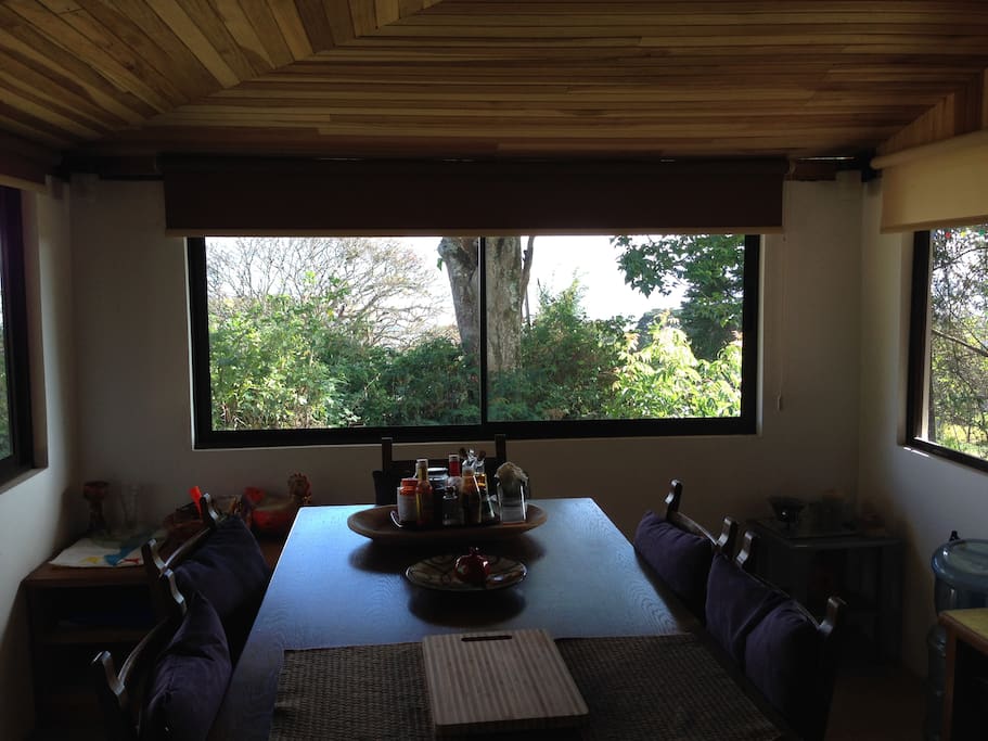 la vista desde la mesa.