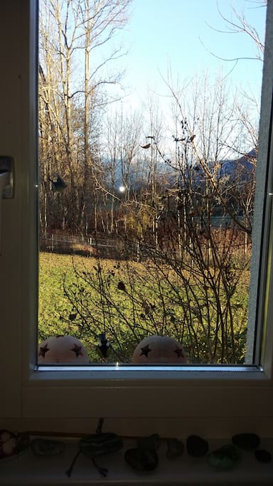 Sicht aus dem Küchenfenster