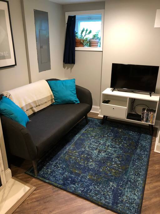 Living room with TV, DVD, more natural light
