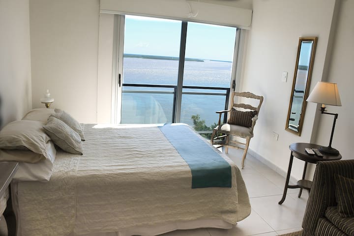 Monoambiente premium/vista al río