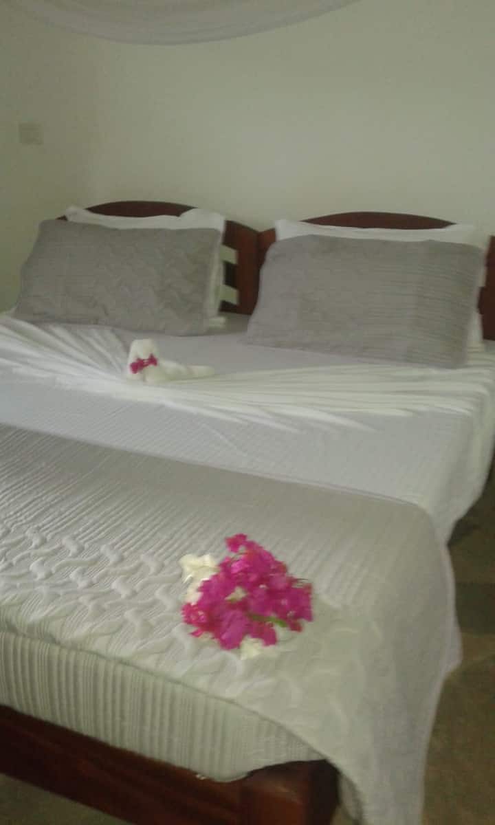 Habitación 2
