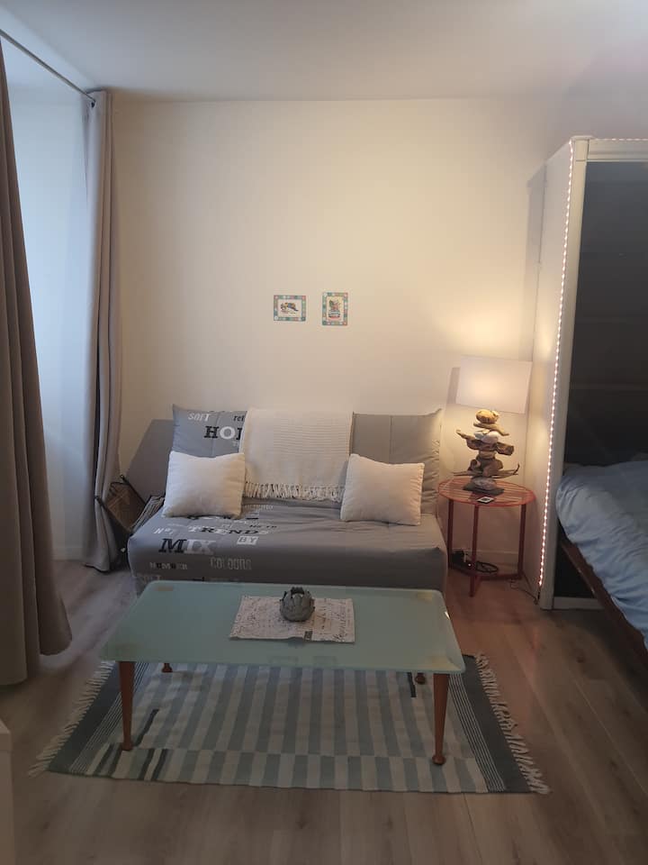 Joli Appartement Coeur De Ville 33 M2 - Thonon-les-Bains
