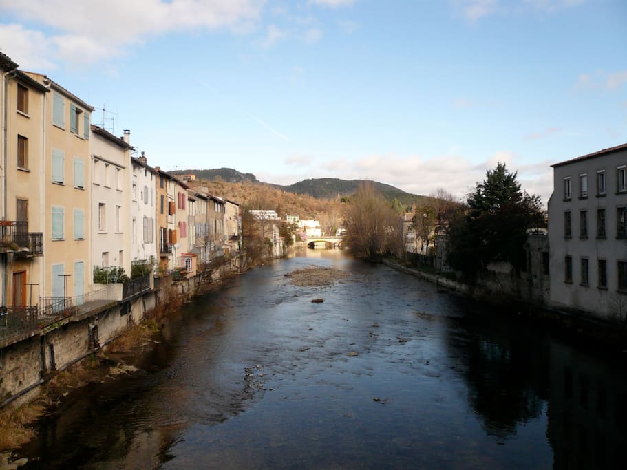 The river from the Pont Vieux