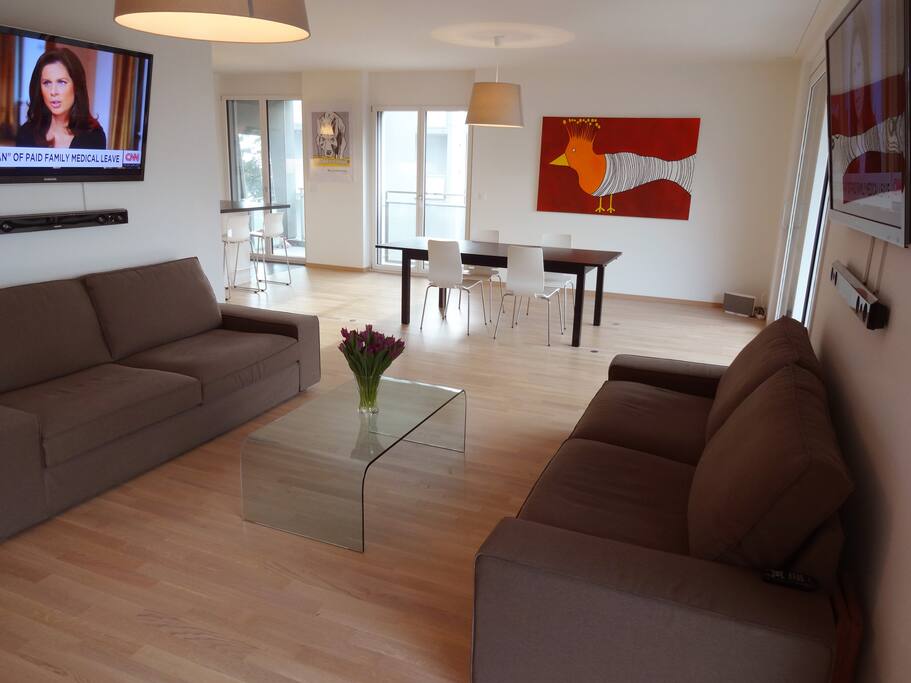 Dual facing couches and TVs