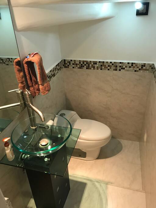 Medio baño planta baja
