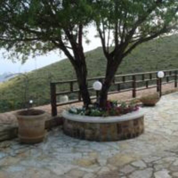 The upper terrace